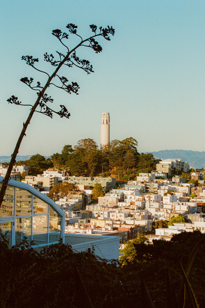 Coit Tower Poster