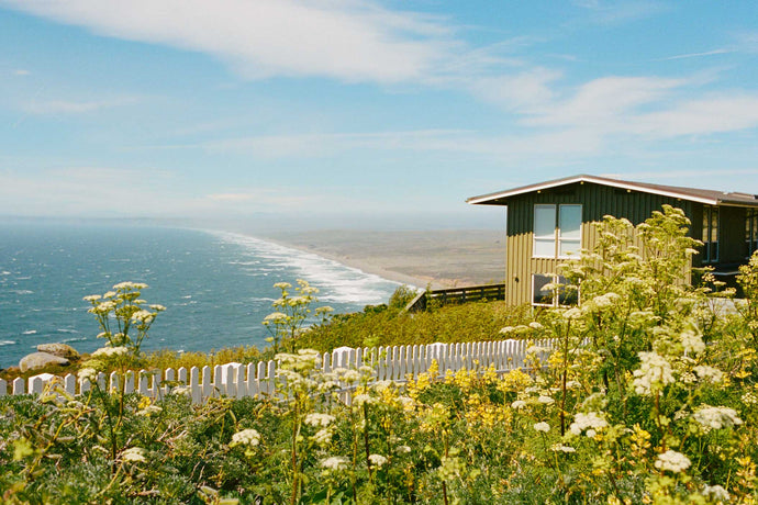 Point Reyes Poster