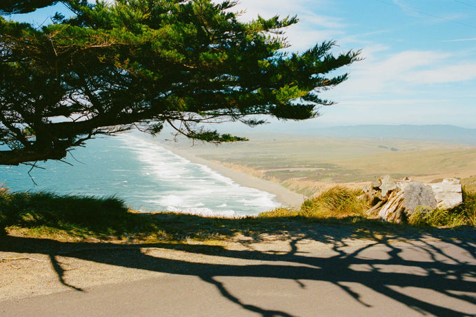 Point Reyes Poster
